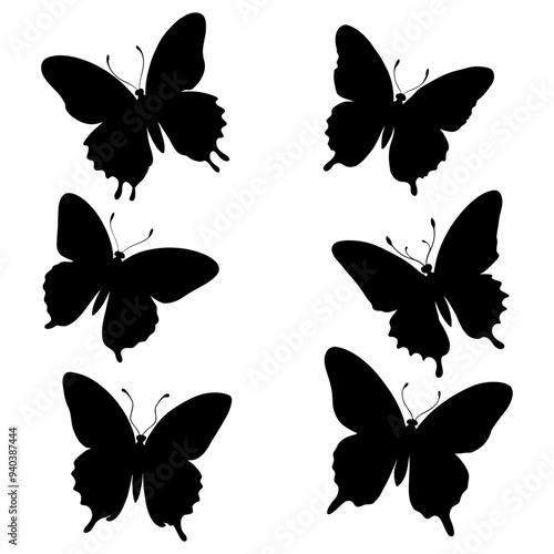 Photography Black butterfly silhouettes