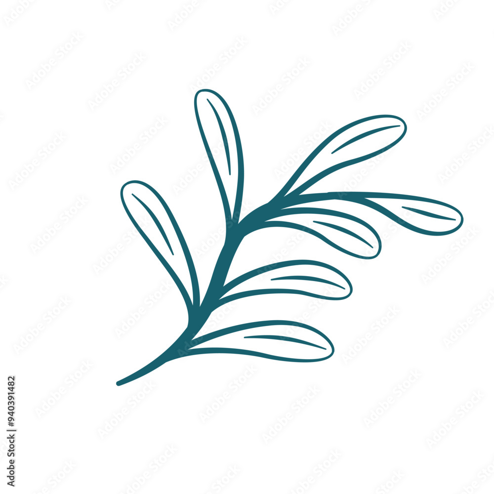hand drawn leaf vector. leaf illustration. leaves illustration. aesthetic leaf illustration. simple leaf flat illustration. hand drawn leaf vector. leaf illustration. leaves illustration. aesthetic leaf illustration. simple leaf flat illustration.