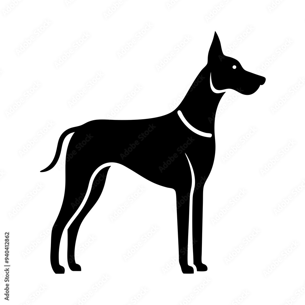 black dog isolated on white black dog isolated on white