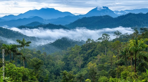 Scenic views of pristine nature