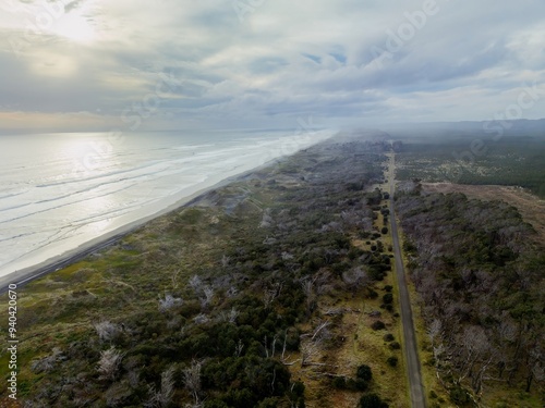 Ocean , shoreline and Woodhill Forest in  Muriwai, Auckland, New Zealand. photo