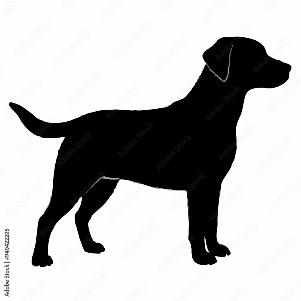 Dog Silhouette svg, Digital Download, Dog Silhouette svg bundle,Dog Silhouette png,Dog Breed Silhouettes, Dog Breed SVG Dog Silhouette svg, Digital Download, Dog Silhouette svg bundle,Dog Silhouette png,Dog Breed Silhouettes, Dog Breed SVG