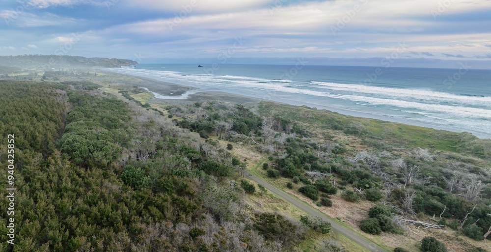 Woodhill Forest and ocean beach and Muriwai, Auckland, New Zealand. Woodhill Forest and ocean beach and Muriwai, Auckland, New Zealand.