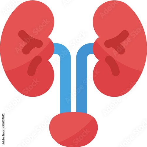 Kidney