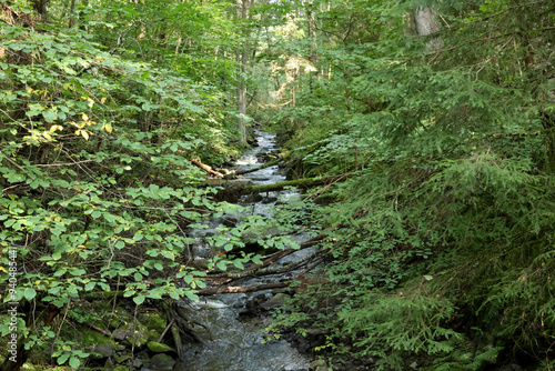 Photography The river