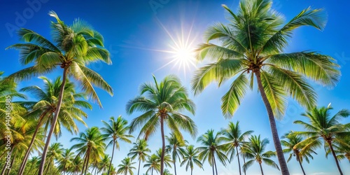 Tropical summer background featuring palm trees and clear blue sky, tropical, summer, background, palm trees