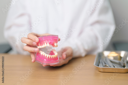 Dentist with tooth Anatomy model. Oral Teeth and disease, Scrape off tartar. March Oral health, Dentist Day, False Teeth. Toothache and Children Dental Health Month and Orthodontic Health Day