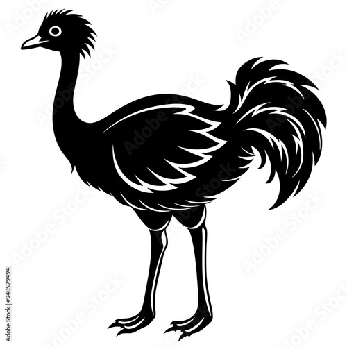 Emu art Vector Illustration Design