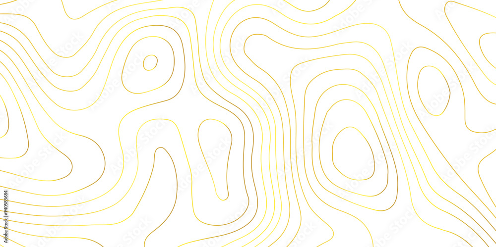 Abstract white topography geographic contour map background .topography white paper and golden waves lines backdrop background .modern geographic contour map vector illustration . Abstract white topography geographic contour map background .topography white paper and golden waves lines backdrop background .modern geographic contour map vector illustration .