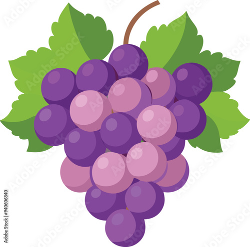 Grapes vector