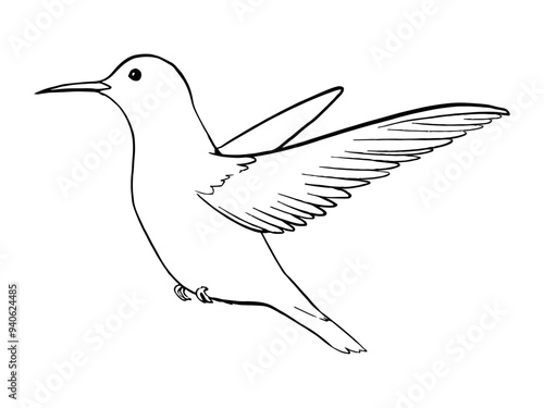 ホバーリングしているハチドリのイラスト線画