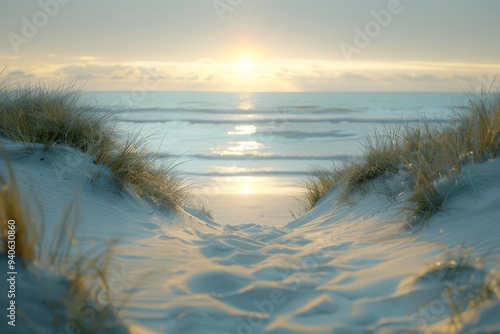 Fototapeta Naklejka Na Ścianę i Meble -  Sunrise with Seashells on Sandy Beach