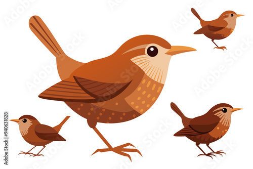 A set of beautiful birds wren vector art illustration