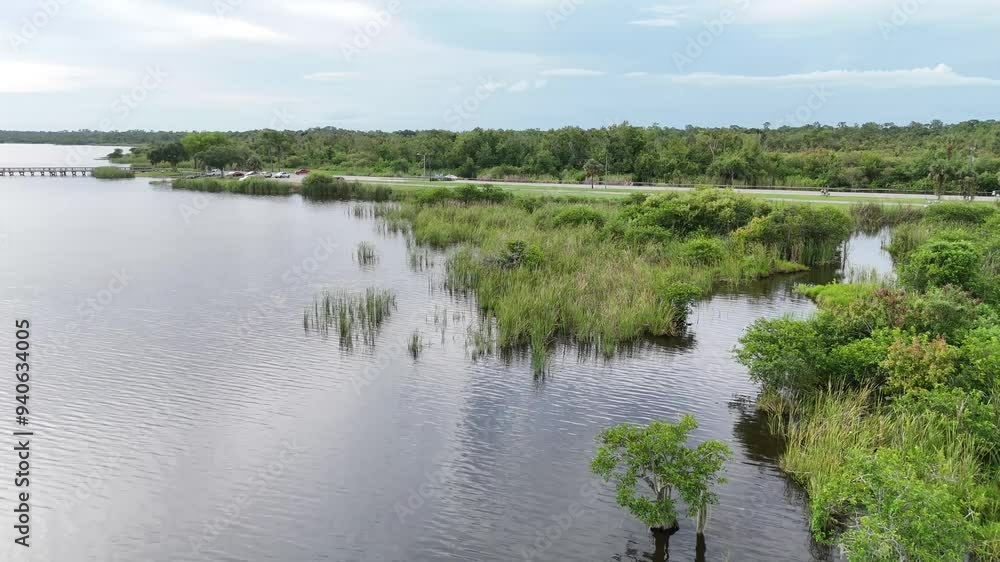 Stunning aerial shoreline clips of Lake Trafford in Immokalee, Florida. Drone footage of Beautiful lake in Southwest Florida filled with alligators, fish, and natural wildlife. Stunning aerial shoreline clips of Lake Trafford in Immokalee, Florida. Drone footage of Beautiful lake in Southwest Florida filled with alligators, fish, and natural wildlife.