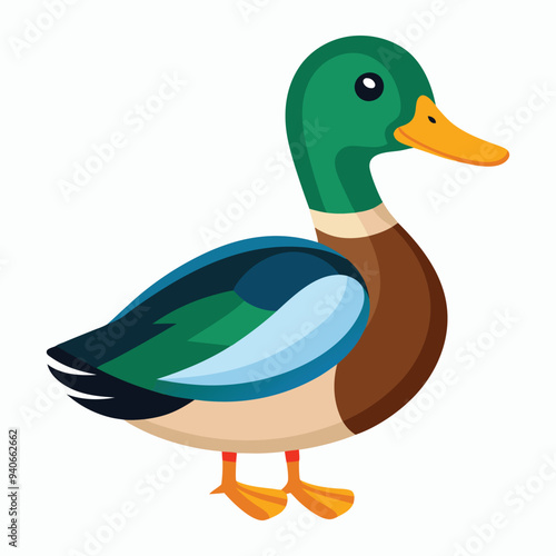 mallard vector art