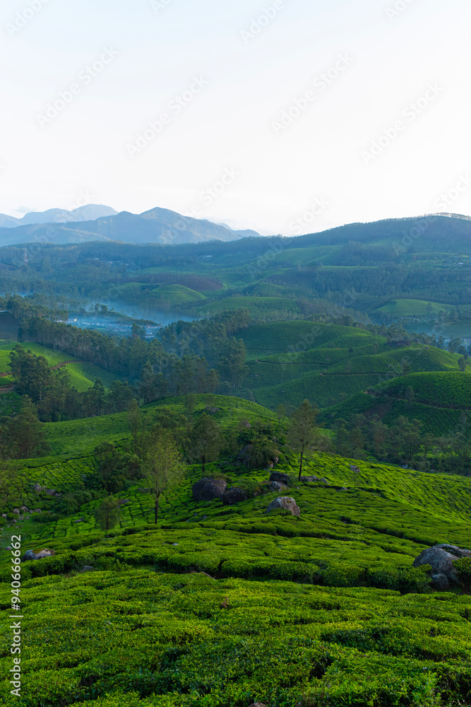 Obraz premium Mountain ranges covered in fog in Munnar which is one of the beautiful and romantic tourist locations in Kerala, India. Clicked on 08-22-2023