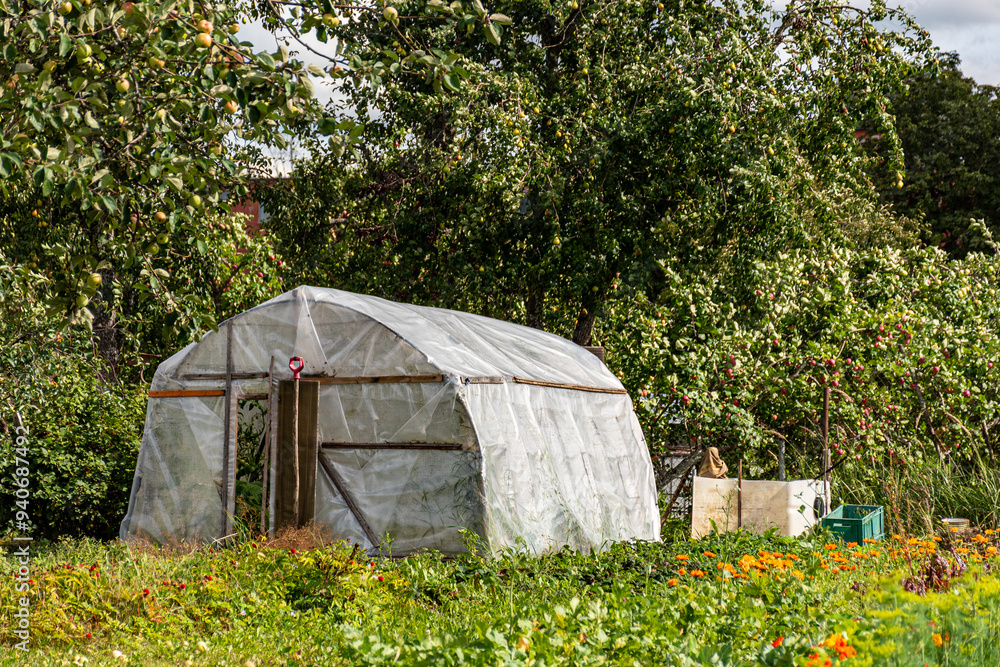 landscape with a greenhouse in a small garden, various beautiful flowers decorate the garden, gardener's concept landscape with a greenhouse in a small garden, various beautiful flowers decorate the garden, gardener's concept