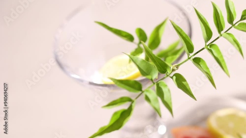 光が差し込んだガラスの花瓶に入った観葉植物の葉とレモン、グレープフルーツ。