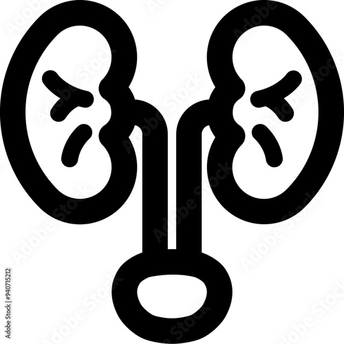 Kidney