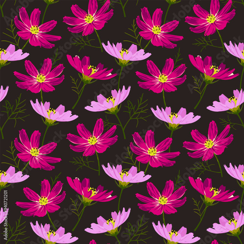 Small purple and pink dainty cosmos flowers on a black background form a seamless pattern for floral textiles. Vector