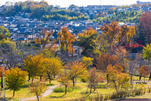 日本の風景・秋　東京都　紅葉の多摩湖・狭山公園