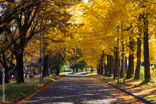 日本の風景・秋　小江戸川越　紅葉の川越水上公園 photo