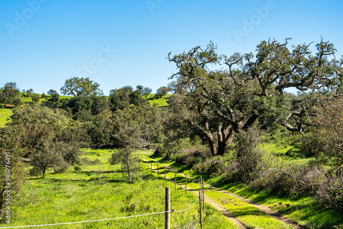 Walking from Troviscais to the River Mira, Vicentine Coast Natural Park Portugal, Rota Vicentina Coast. photo