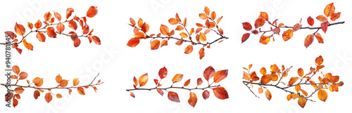 Collection of Autumn branch and leaves isolate on transparency background