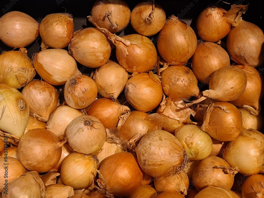 Zwiebeln im Supermarkt - allium cepa Zwiebeln im Supermarkt - allium cepa