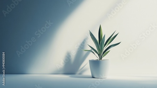 minimalist table or a single growing plant that symbolizes business growth. which reflects the essence of minimalism and entrepreneurship