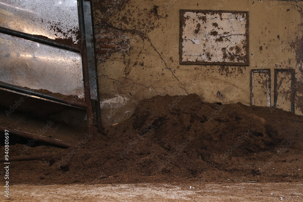 Pile of cow dung or cow manure in a cow bar Pile of cow dung or cow manure in a cow bar