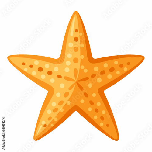 starfish vector colorful  photo