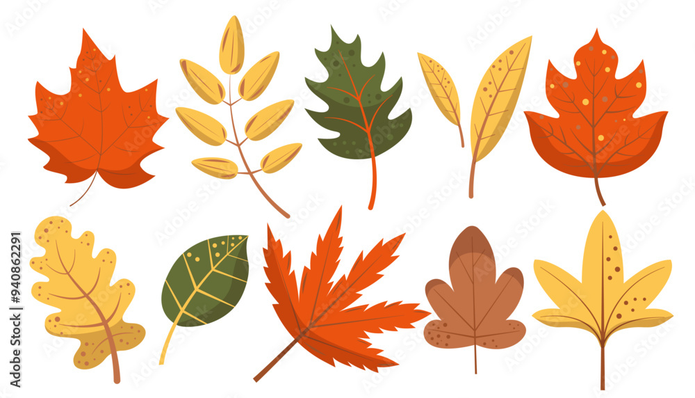 Obraz premium Set of autumn leaves. Fall leave of maple, acorns, oak, rowan tree. Vector flat illustration isolated on background
