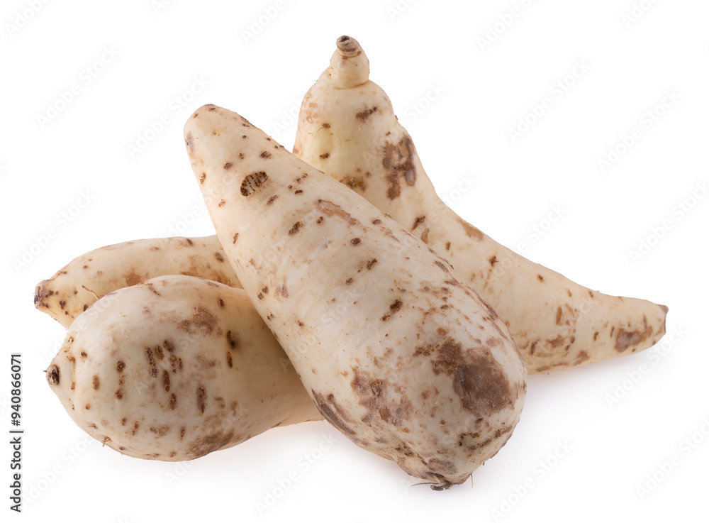 Japan Sweet potato isolated on white background. Japan Sweet potato isolated on white background.