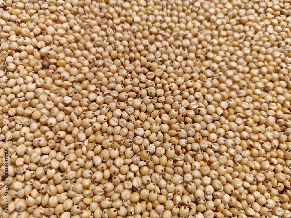 Sorghum or buckwheat on the ground Sorghum or buckwheat on the ground