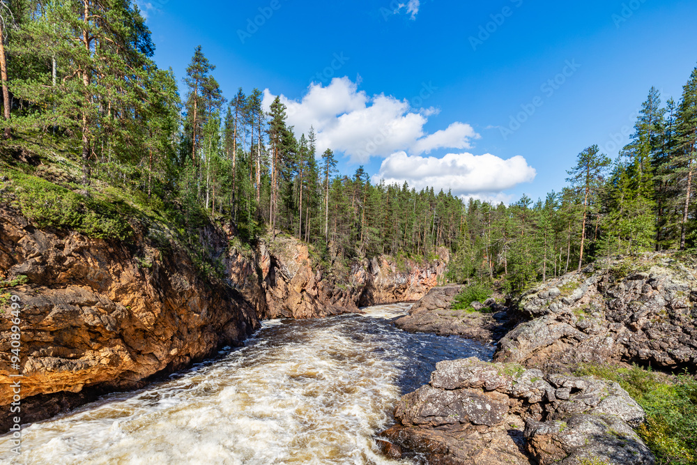Obraz premium river in the forest