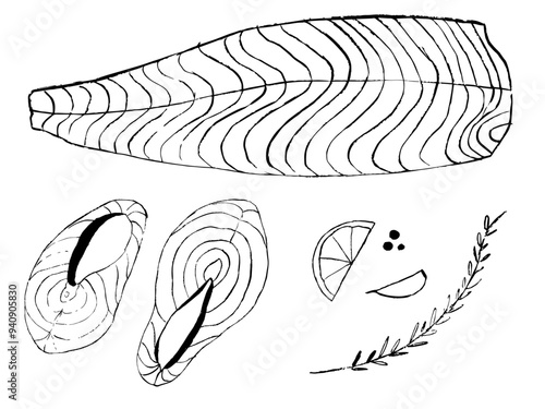 salmon fish and fillet illustration, doodles of salmon fish and spices