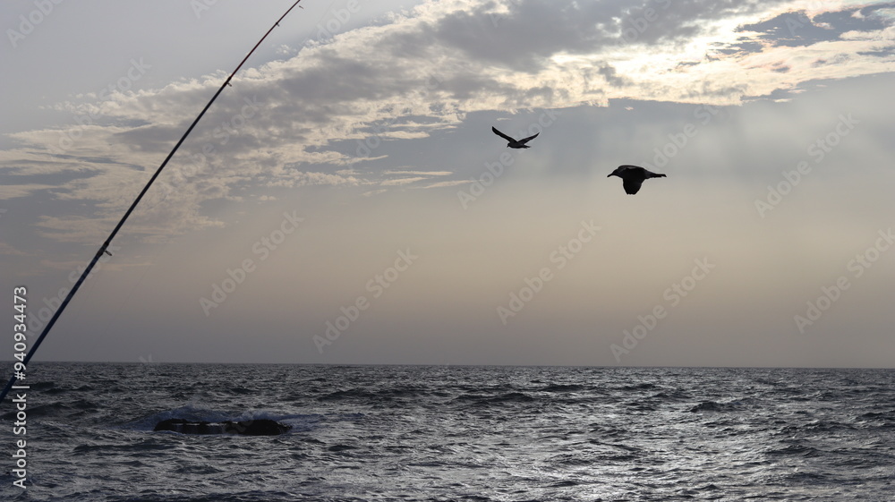 Fototapeta premium Seagulls Flocking on Rocky Shoreline at Sunset with Ocean Waves Crashing, Coastal Wildlife Birds in Flight, Group of Seagulls Gathering on Beach, Seascape at Dusk with Waves and Birds in Natural