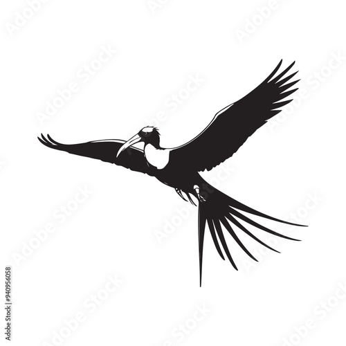 Frigatebird line art vector silhouette with white Background