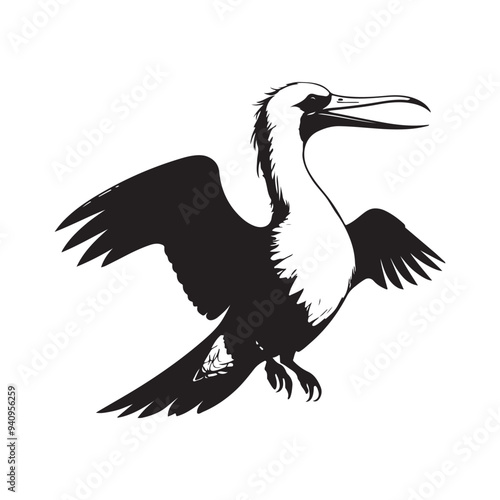 Frigatebird line art vector silhouette with white Background