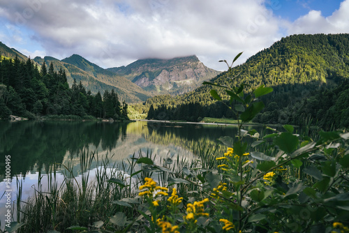 Lake in the mountains with yellow flowers