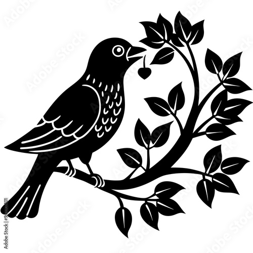 a love Bird is tree food eating - white background