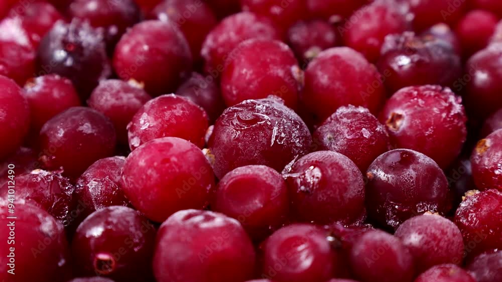 Iced cranberries close up. Frozen cranberry background circle rotation Iced cranberries close up. Frozen cranberry background circle rotation
