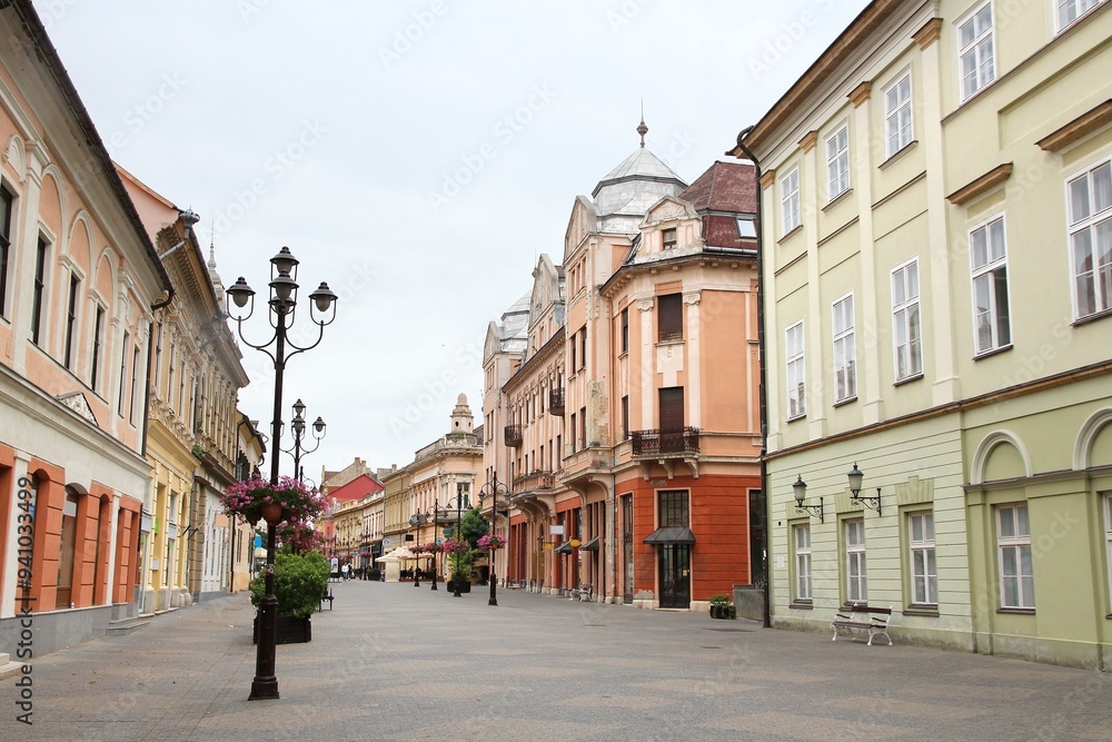 Naklejka premium Kaposvar town, Hungary