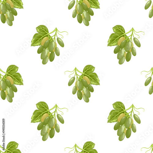 Grapes seamless pattern. Grapevine with leaves and ripe green berries, vinery elements. Fresh harvest, agricultural market goods. Fruit vector illustration on white background