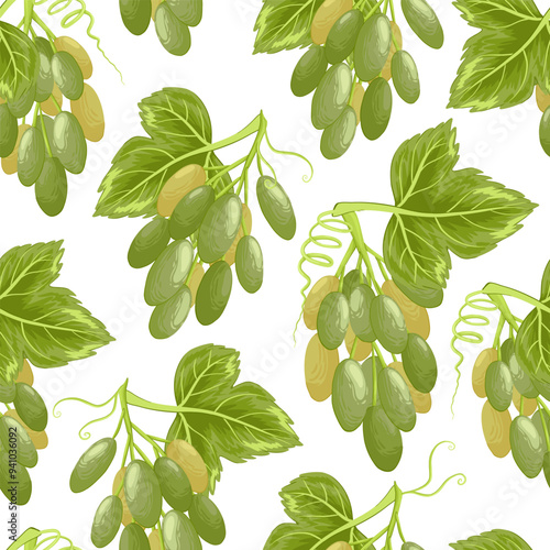 Grapes seamless pattern. Grapevine with leaves and ripe green berries, vinery elements. Fresh harvest, agricultural market goods. Fruit vector illustration on white background