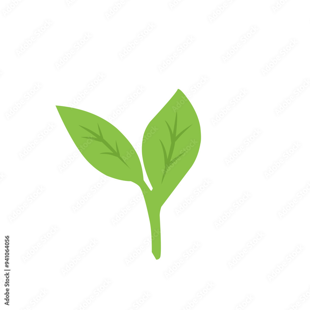 green tea leaf vector icon green tea leaf vector icon