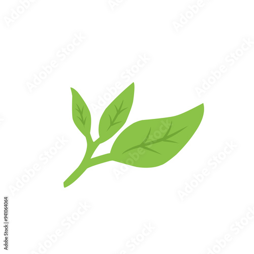 green tea leaf vector icon