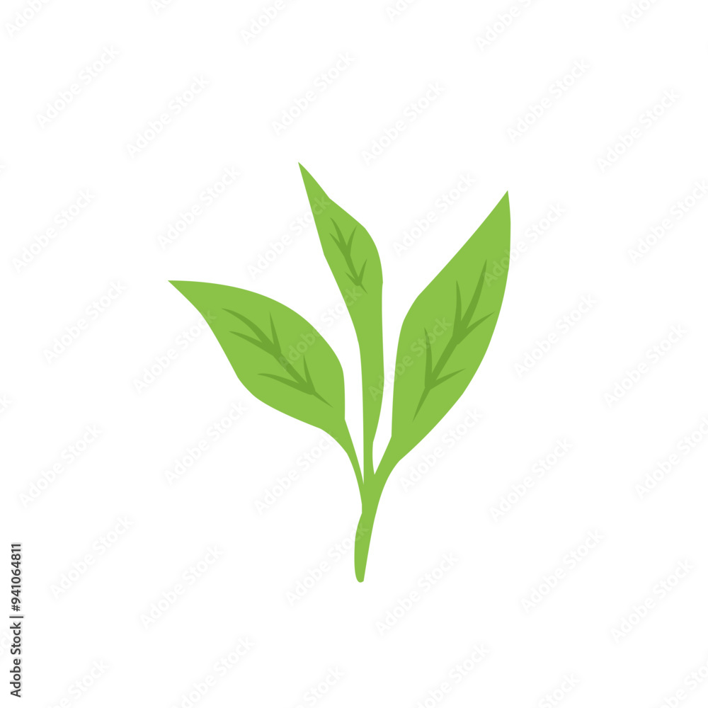 green tea leaf vector icon green tea leaf vector icon