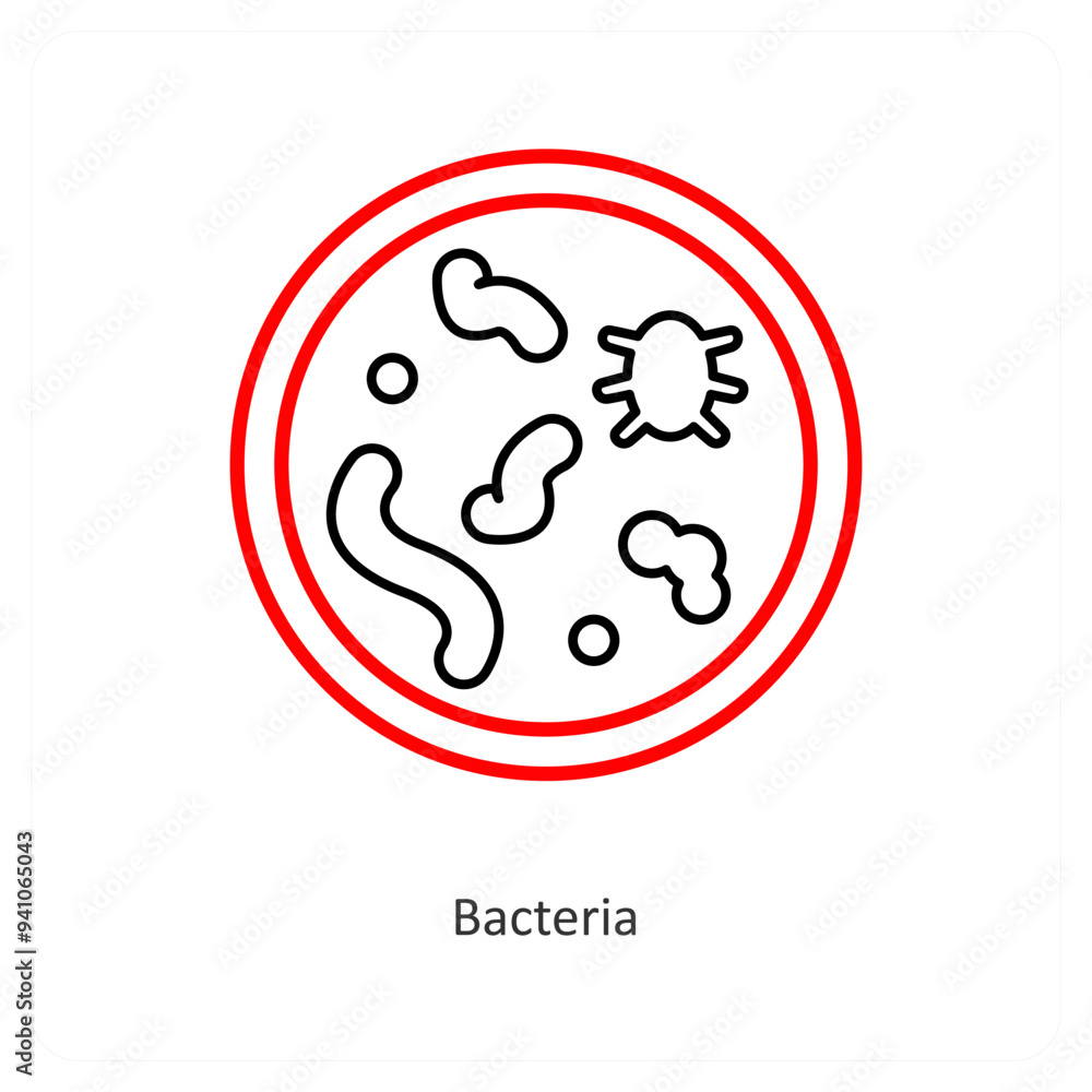 Bacteria Bacteria